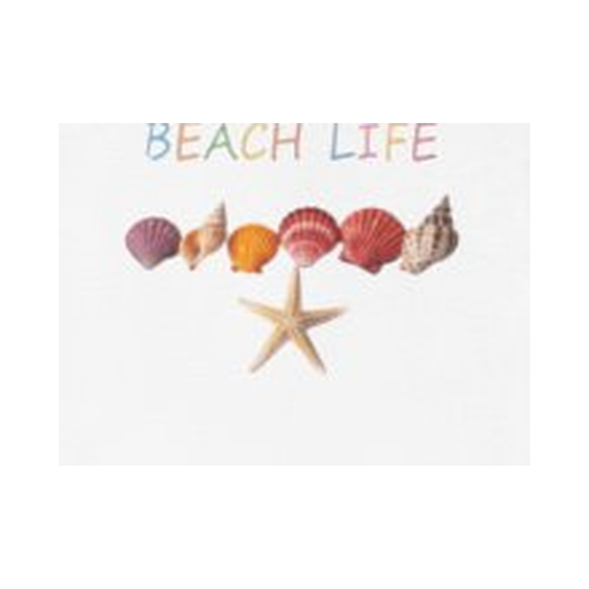 Beach Life Colorful Seashell Graphic T-Shirt | Tropical Ocean Vacation Tee